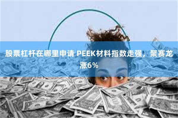 股票杠杆在哪里申请 PEEK材料指数走强，聚赛龙涨6%