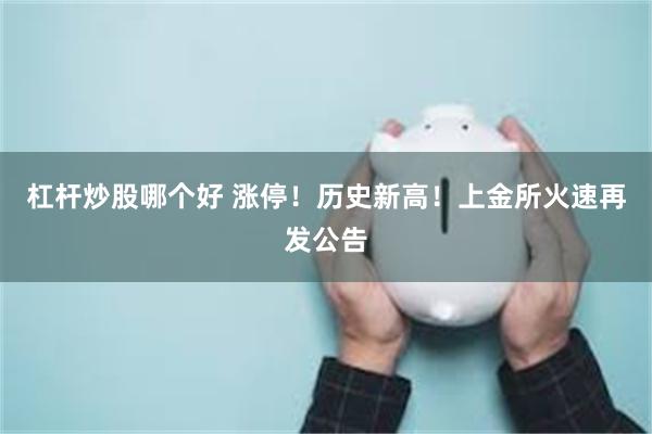 杠杆炒股哪个好 涨停！历史新高！上金所火速再发公告