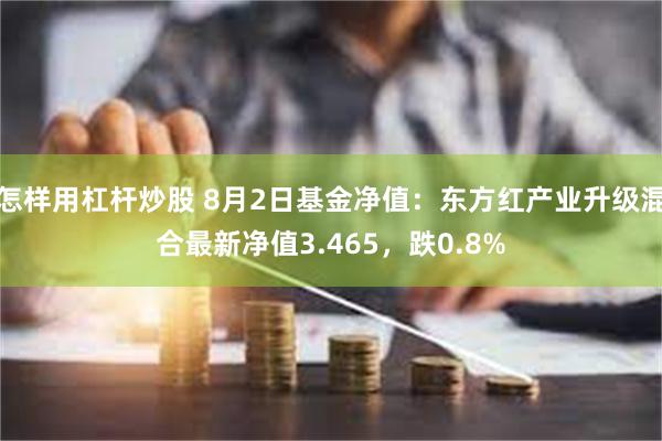 怎样用杠杆炒股 8月2日基金净值：东方红产业升级混合最新净值3.465，跌0.8%