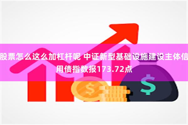 股票怎么这么加杠杆呢 中证新型基础设施建设主体信用债指数报173.72点