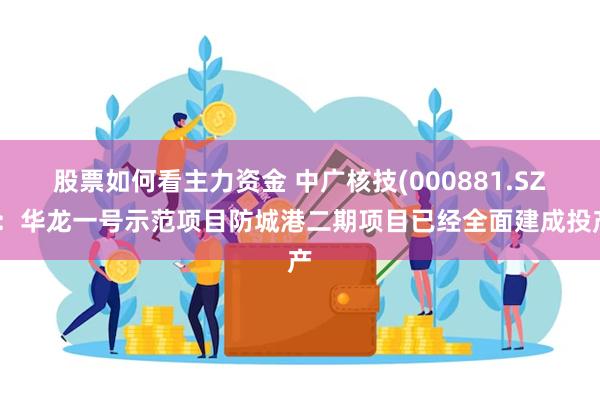 股票如何看主力资金 中广核技(000881.SZ)：华龙一号示范项目防城港二期项目已经全面建成投产