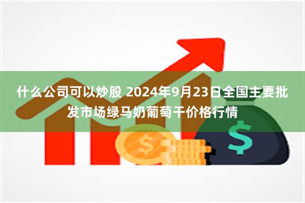 什么公司可以炒股 2024年9月23日全国主要批发市场绿马奶葡萄干价格行情