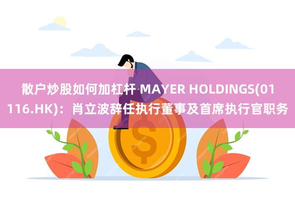 散户炒股如何加杠杆 MAYER HOLDINGS(01116.HK)：肖立波辞任执行董事及首席执行官职务