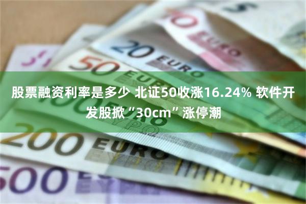 股票融资利率是多少 北证50收涨16.24% 软件开发股掀“30cm”涨停潮