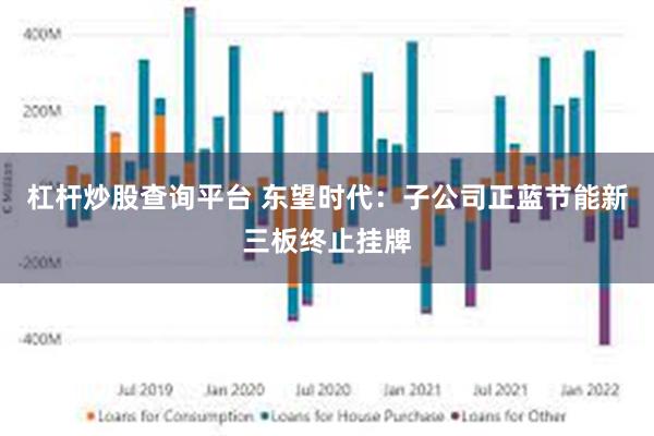 杠杆炒股查询平台 东望时代：子公司正蓝节能新三板终止挂牌