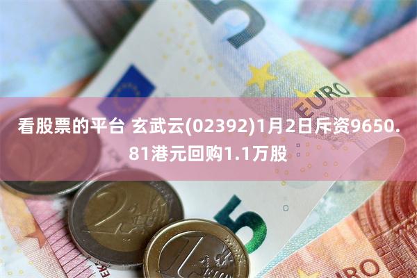 看股票的平台 玄武云(02392)1月2日斥资9650.81港元回购1.1万股